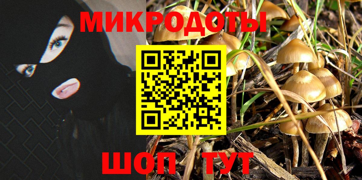 Баксан  Галлюциногенные грибы GOLDEN TEACHER  Вход с VPN 